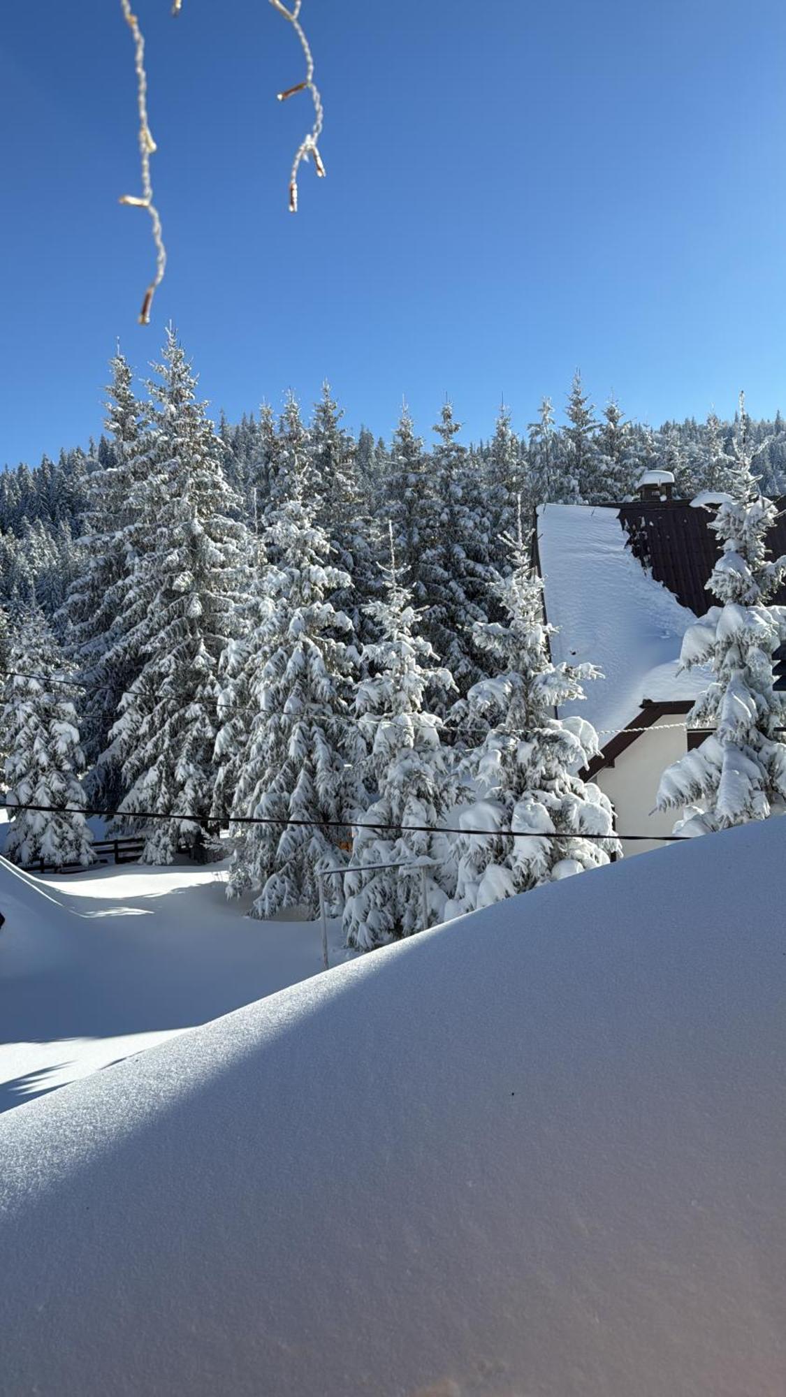 Guest House Alpha Ski Camp Jahorina Extérieur photo