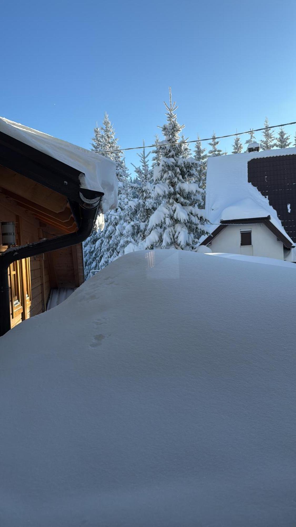 Guest House Alpha Ski Camp Jahorina Extérieur photo